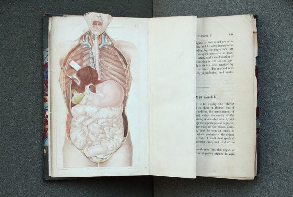 Man, his Structure and Physiology