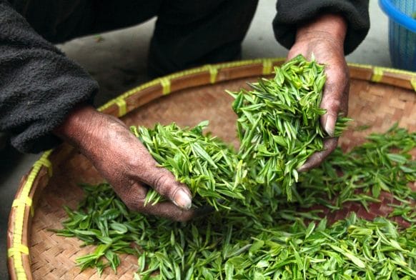 Tea drinking along the Silk Road