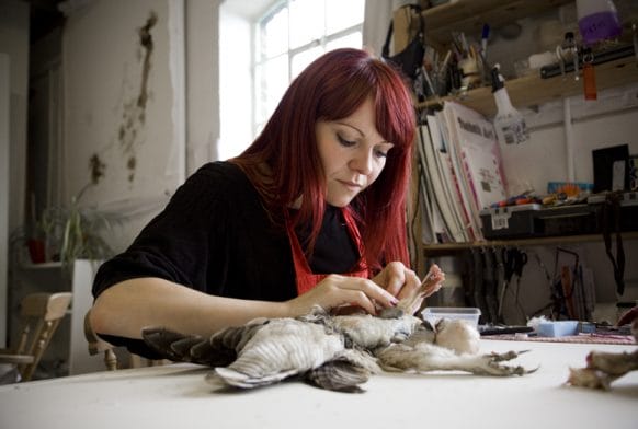 Horniman’s 5 Women Artists
