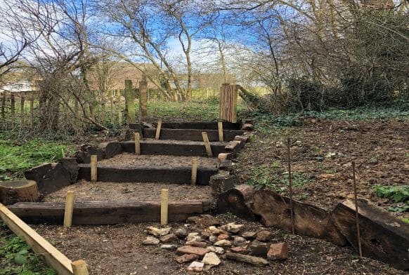 A new breath of life for our Wildlife Pond