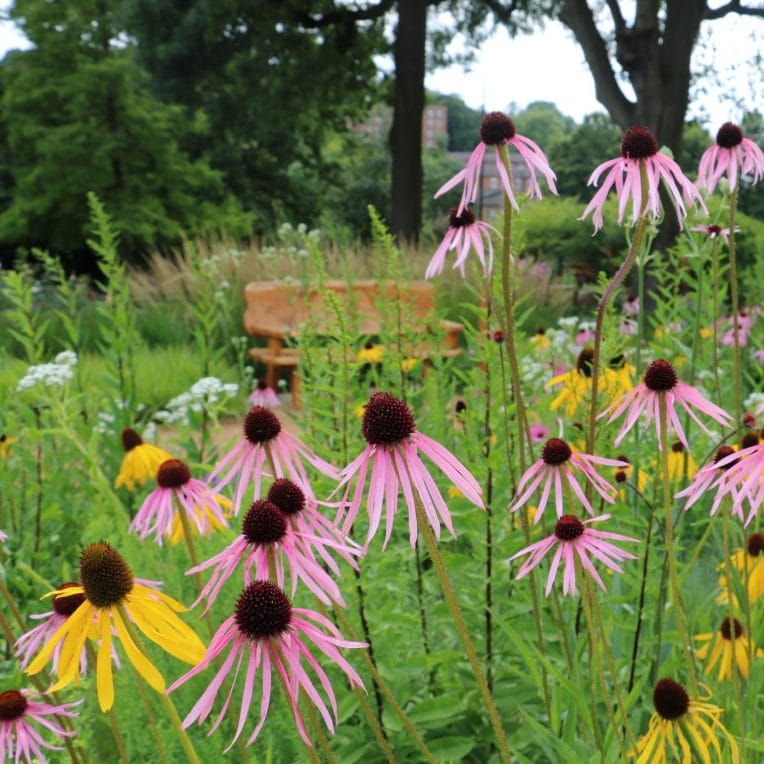 Grasslands Garden