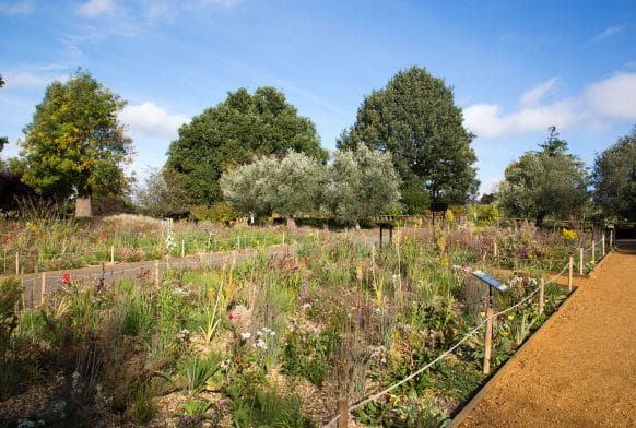 Saving water at the Horniman