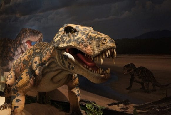 Feathered dinos and evolutionary dead-ends