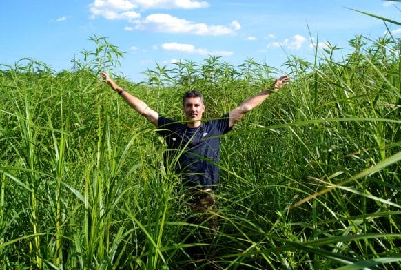 The Tallgrass Prairie of the Midwest