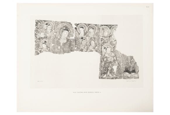 The Horniman&#8217;s female collectors