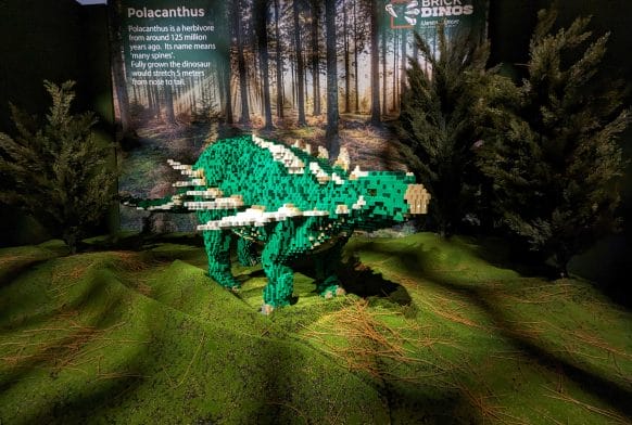 Spotlight on Polacanthus