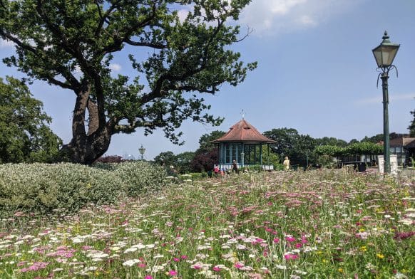 Tackling the Horniman&#8217;s emissions