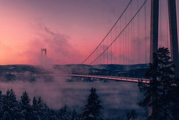 How does nature inspire cities?